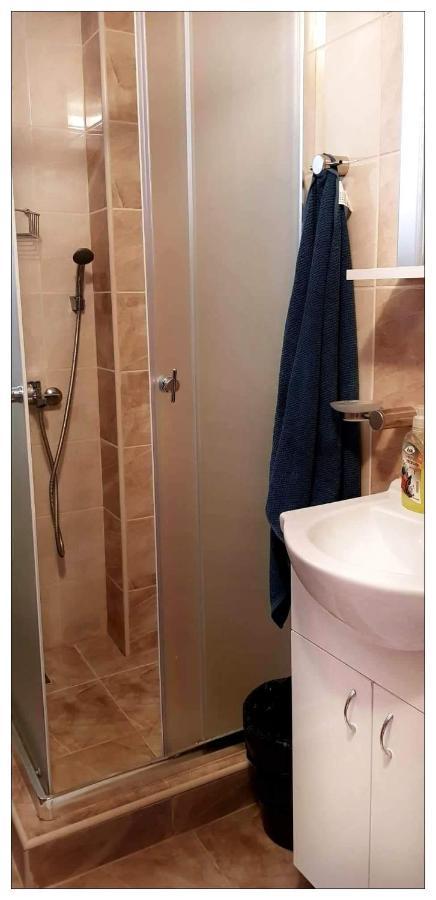 Dobricin Konak, Apartman 202 카파오닉 외부 사진