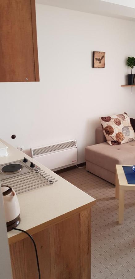 Dobricin Konak, Apartman 202 카파오닉 외부 사진